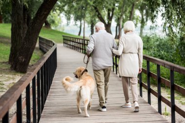 üst düzey iki sevimli köpek iacross tahta köprüden Park ile yürüme