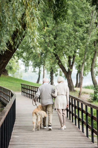 Casal Sênior Andando Com Cão Golden Retriever Através Ponte Madeira — Fotografia de Stock