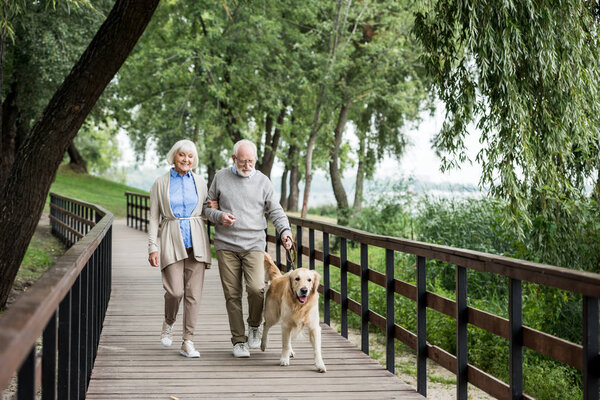 happy senior couple walking with adorable dog in park