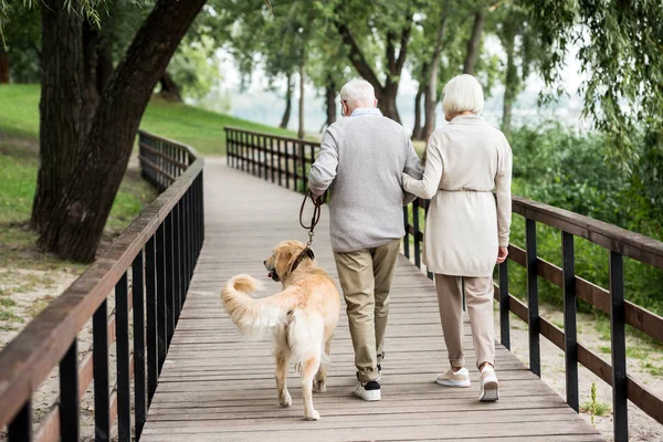 Casal Sênior Andando Com Cão Bonito Iacross Ponte Madeira Parque — Fotografia de Stock