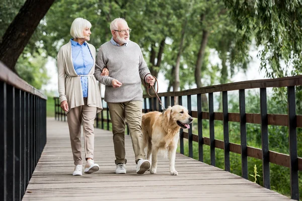 Esposa Sênior Feliz Marido Andando Com Cão Parque — Fotografia de Stock