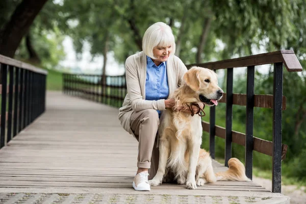 Senior Woman Golden Retriever Dog Wooden Bridge — Stock Photo, Image