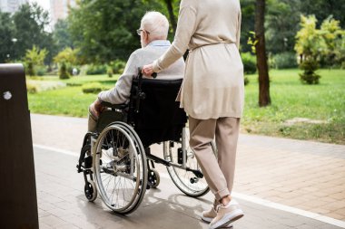 partial view of senior woman carrying husband in wheelchair while walking in park clipart
