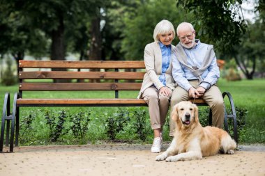 nice senior couple sitting on wooden bench and adorable dog lying nearby on paved sidewalk clipart
