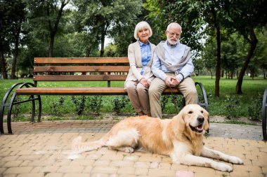 Yakındaki yalan golden retriever köpek ile tahta bankta oturan kıdemli mutlu çift