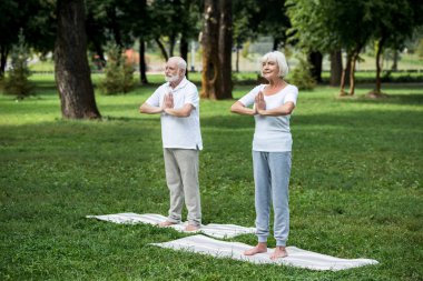 meditasyon sukhasana ayakta pozlar katlanmış ellerle pratik kıdemli mutlu çift