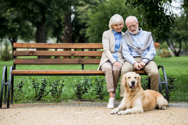 nice senior couple sitting on wooden bench and adorable dog lying nearby on paved sidewalk