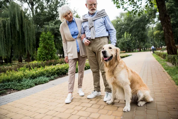 Feliz Casal Sênior Com Cão Adorável Parque — Fotografia de Stock