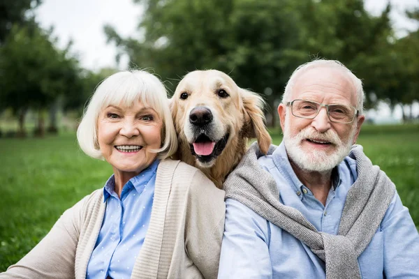 Happy Senior Couple Adorable Golden Retriever Dog Park — Stock Photo, Image