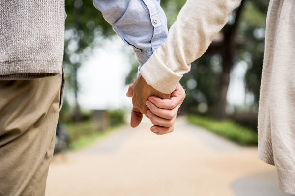 cropped view of senior couple holding hands while walking in park