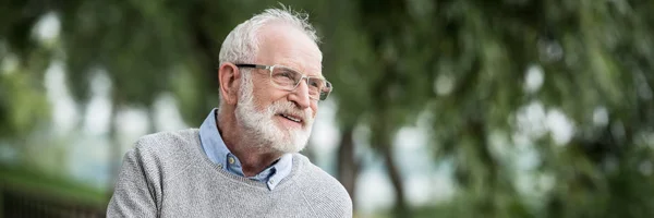 Happy Smiling Senior Man Grey Pullover Glasses Park — Stock Photo, Image