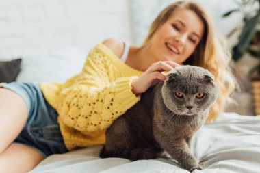 evde yatakta yatarken örme kazak güzel kız İskoç kat kedi okşayarak