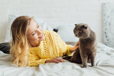 evde yatakta yatarken örme kazak güzel gülümseyen kız İskoç kat kedi okşayarak