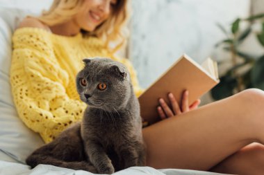 İskoç kat kedi ile yatakta yatarken genç kadının kitap okuma kısmi görünümü 