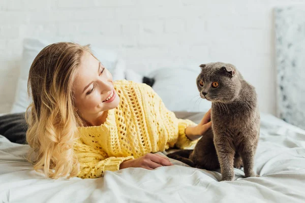 Bela Menina Sorridente Camisola Malha Acariciando Escocês Dobra Gato Enquanto — Fotografia de Stock