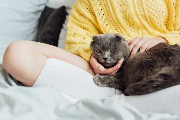 Vue Recadrée Jeune Femme Tenant Mignon Écossais Plier Chat Maison — Photo