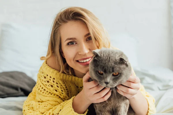 Hermosa Chica Sonriente Suéter Punto Mirando Cámara Abrazando Gato Pliegue —  Fotos de Stock