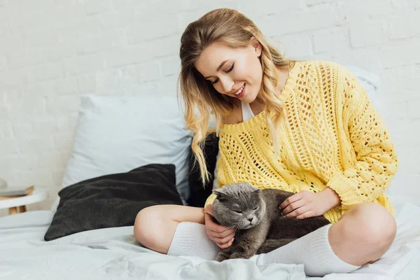 Hermosa Chica Sonriente Suéter Punto Acariciando Gato Pliegue Escocés Mientras — Foto de Stock