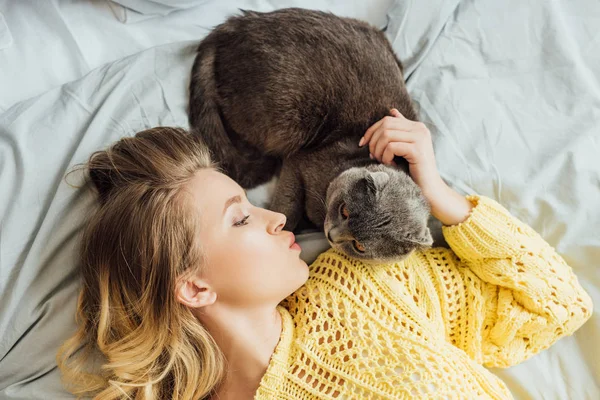 Evde Yatakta Yatarken Güzel Kız Dudak Büzeri Skoç Kat Kedi — Stok fotoğraf