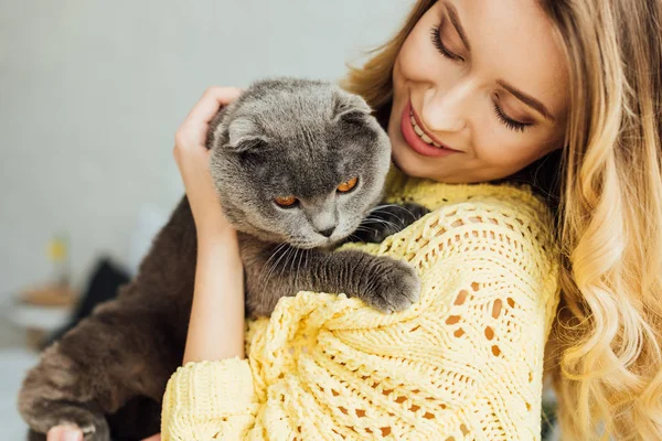 Foco Seletivo Belo Sorriso Menina Abraçando Bonito Escocês Dobra Gato — Fotografia de Stock