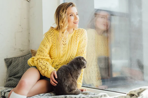 コピースペースで窓際に座っている間 スコットランドの猫をなでる美しい笑顔の若い女性 — ストック写真