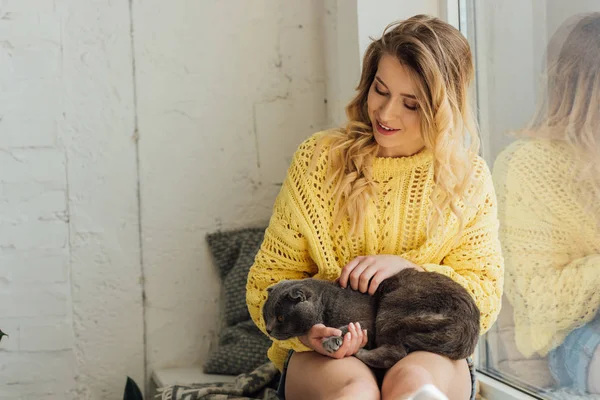 Beautiful Smiling Young Woman Knitted Sweater Hugging Scottish Fold Cat — Stock Photo, Image