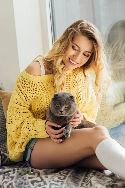 Bela Sorrindo Jovem Mulher Abraçando Escocês Dobra Gato Enquanto Sentado — Fotografia de Stock