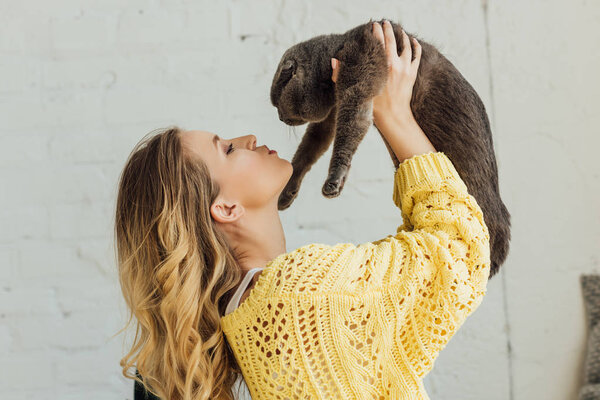 side view of beautiful girl in knitted sweater holding scottish fold cat at home