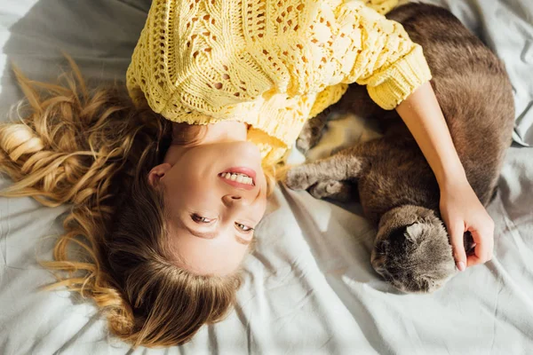 自宅でベッドに横たわっている間にスコットランドの折りたたみ猫をなでる美しい笑顔の女の子のオーバーヘッドビュー — ストック写真