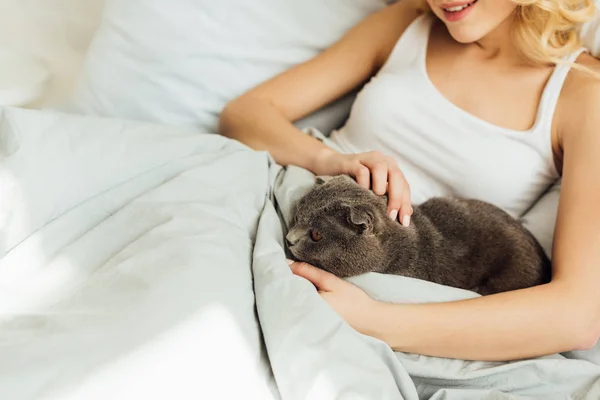 Levágott Kilátás Lány Fekve Ágyban Átölelve Skót Fold Macska Másolási — Stock Fotó