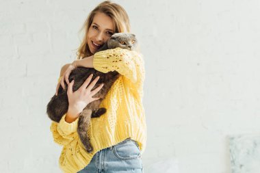 güzel gülümseyen kız örme kazak kamera bakıyor ve İskoç kat kedi kucaklayan