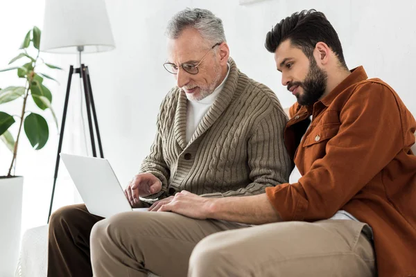 Bearded Man Sitting Happy Senior Father Looking Laptop — Stock Photo, Image