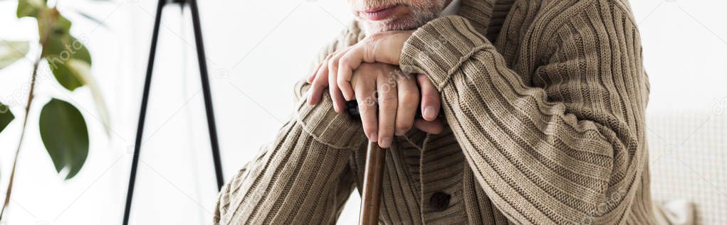 panoramic shot of retired man holding walking stick