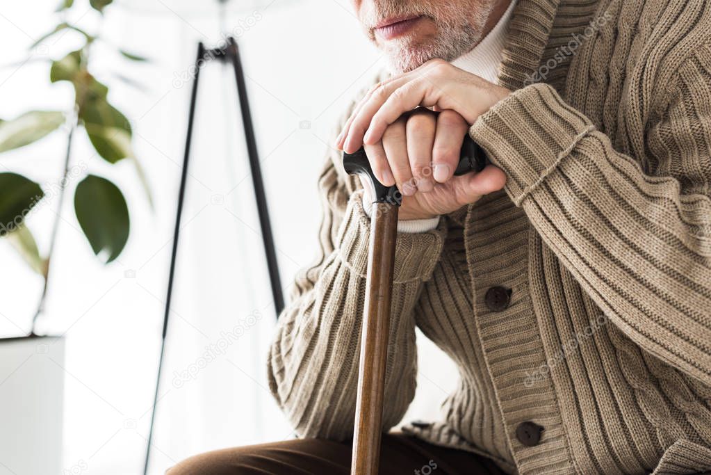 cropped view of retired man holding walking stick