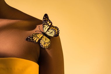 Cropped view of african american woman with butterfly on shoulder on orange clipart