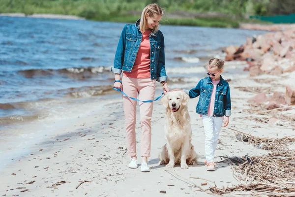 Famille marche avec golden retriever chien sur le bord de la mer — Photo de stock