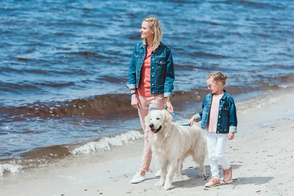 Beautiful family with golden retriever dog on walk near the sea — Stock Photo