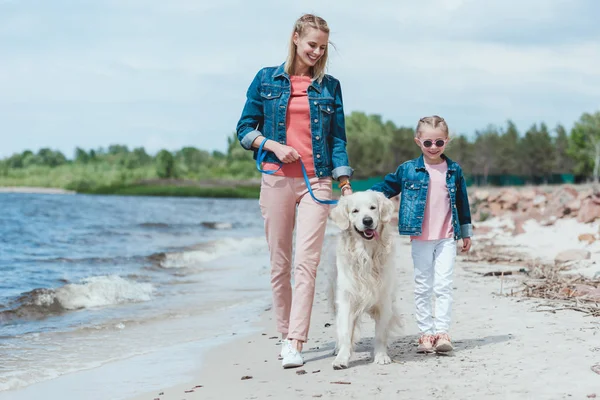 Bela família andando com cão na costa do mar — Fotografia de Stock