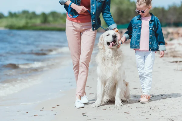 Семья гуляет с золотой ретривер собака на берегу моря — стоковое фото