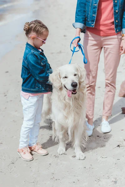 Mãe e filha andando com cão golden retriever na costa — Fotografia de Stock