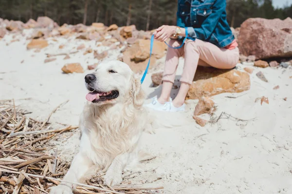 Vista recortada de la mujer sentada con perro recuperador de oro en la orilla arenosa - foto de stock
