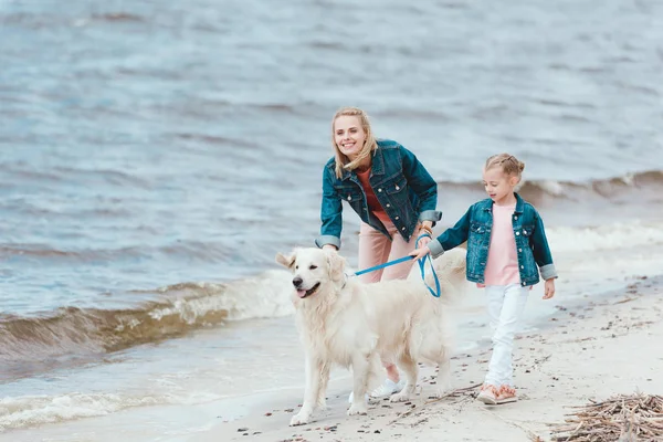 Família feliz andando com golden retriever na costa do mar — Fotografia de Stock