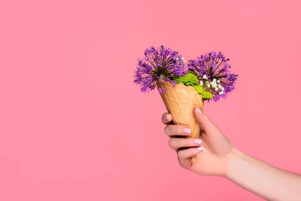 Tiro recortado de mão feminina segurando cone de waffle com belas flores isoladas em rosa — Fotografia de Stock