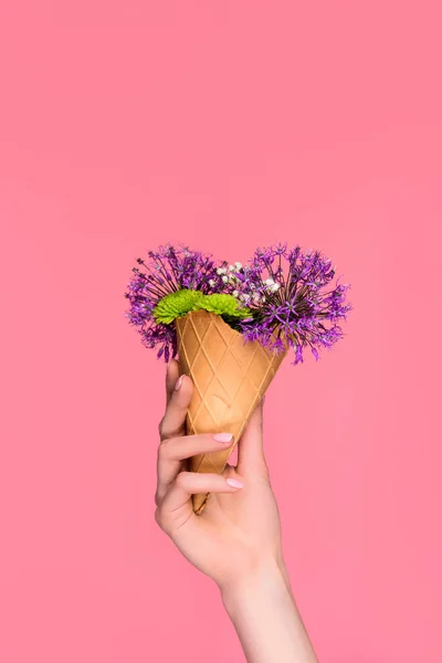 Close-up partial view of female hand holding waffle cone with beautiful flowers isolated on pink — Stock Photo