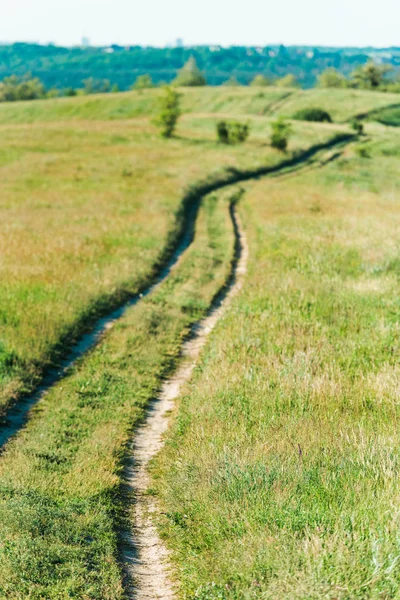 Malerischer Blick auf ländliche Landschaft mit Pfad durch Graswiesen — Stockfoto