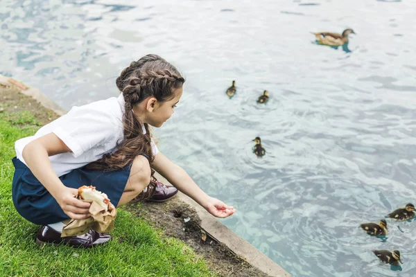 Adorable schoolgirl feeding ducklings in pond — Stock Photo