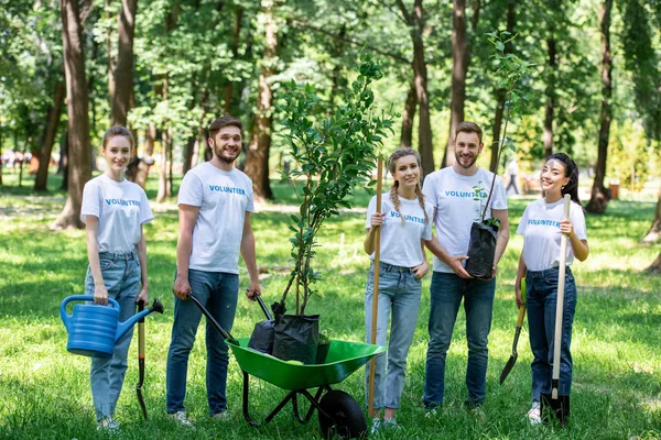 Amigos voluntarios y plantando árboles en el parque juntos - foto de stock