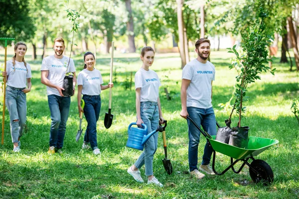 Друзі волонтерства та посадки дерев у парку разом — стокове фото