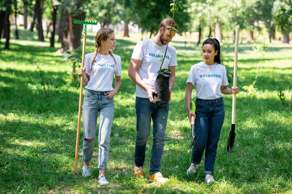 Volunteers with shovel and rake planting tree in park — Stock Photo