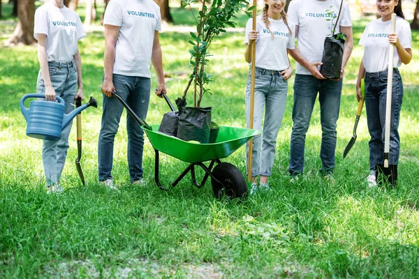 Cropped view of volunteers planting trees in park together — Stock Photo